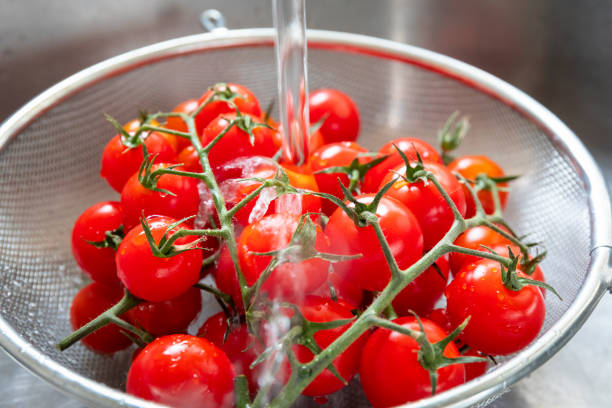 tomates en la vid está lavando - tomatoes on vine fotografías e imágenes de stock
