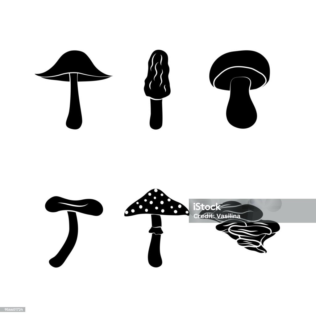 Different types of mushrooms, silhouettes isolated on white background Mushroom stock vector