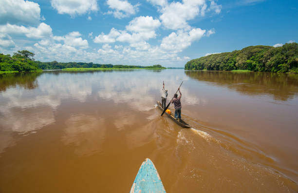 콩고 강에 전형적인 더 그 아웃 카누 (pirogue) 얕은 어 부 - fish trap 뉴스 사진 이미지