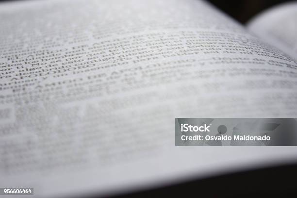 Open Book Stock Photo - Download Image Now - Book, Page, Text