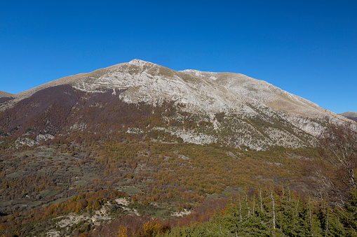 Abruzzo National Park - Autumnal view of Marsicano mount