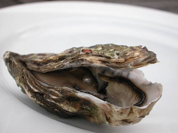 istock The world is your oyster 95663219