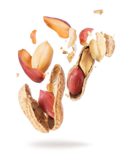 istock Dried peanut crushed in the air close-up on white background 956634742