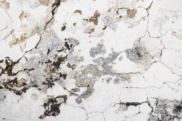 istock Cracked concrete texture closeup background 956634790