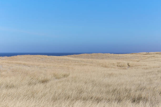 istock gentle North Sea landscape, Denmark 956639254