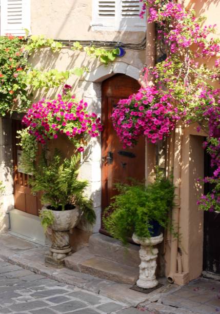 istock European doorway surrounded by flowers 956644568