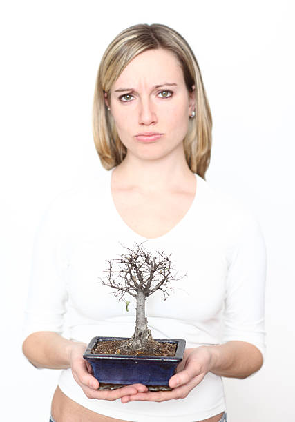 Traurige Frau mit dead bonsai – Foto