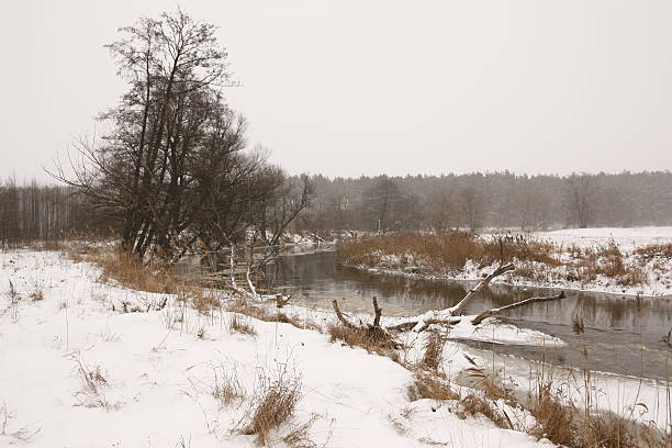 River in the Harsh  Winter . stock photo