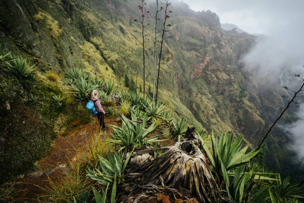 女性の旅行者が滞在アガヴェスの生い茂った緑の霧谷上コーブ火山の端にサントアンタン島カボ ・ ベルデ - カーボヴェルデ共和国 ストックフォトと画像