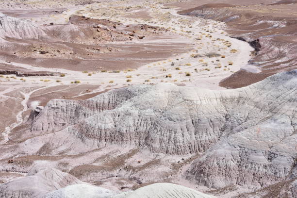 deserto dipinto vicino a holbrook arizona - holbrook foto e immagini stock