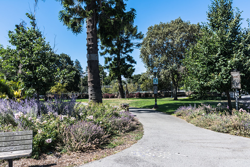 Vegetation in Japanese Gardens in San Mateo, California
