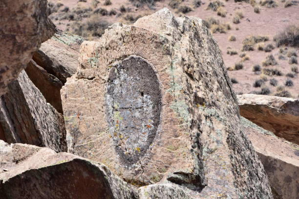 istock Trees transitioned to crystals and stone found in the Petrified Forest 956676484
