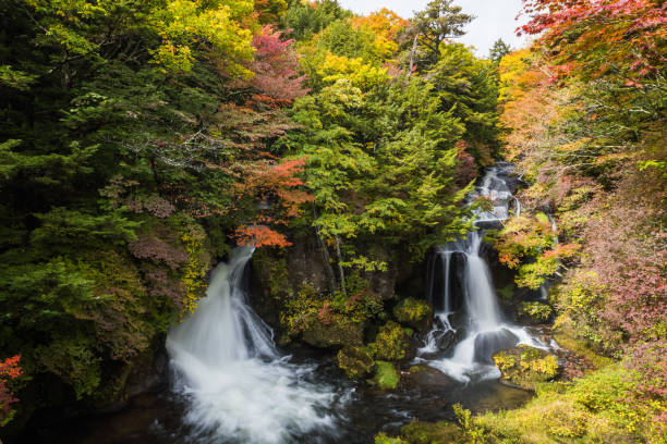 istock Ryuzu fall at Nikko national park in autumn 956683160