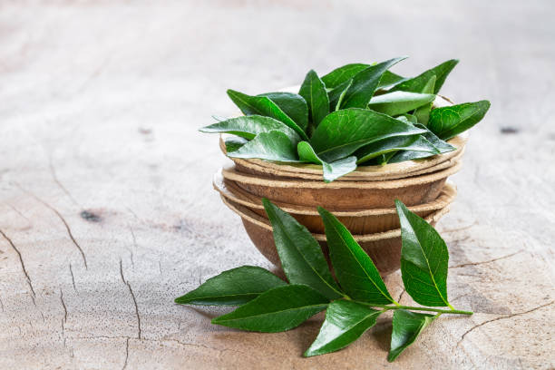 Fresh curry leaves in coconut bowl on wooden background Fresh curry leaves in coconut bowl on wooden background with copyspace curry stock pictures, royalty-free photos & images