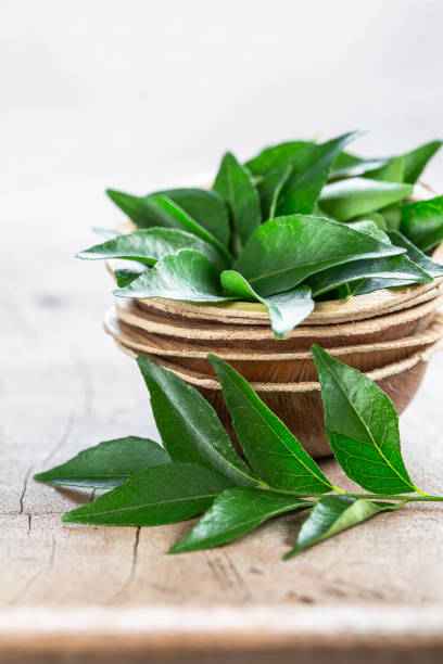 istock Fresh curry leaves in coconut bowl on wooden background 956694018