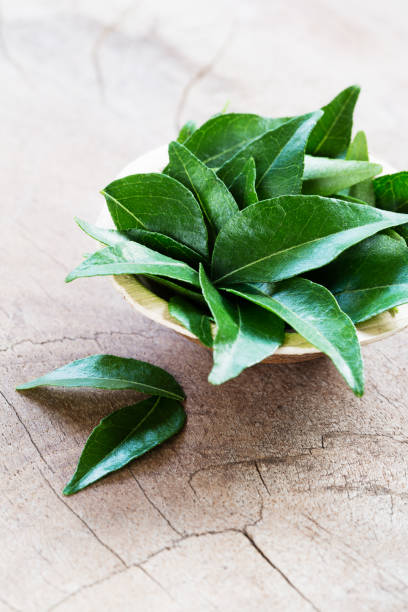 istock Fresh curry leaves in coconut bowl on wooden background 956694048