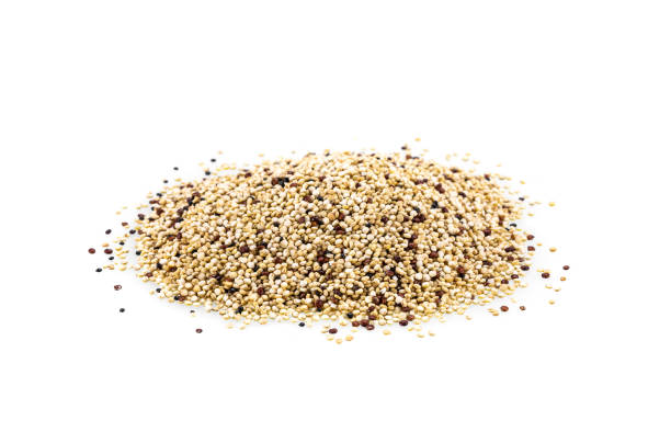 istock Quinoa seeds (Chenopodium quinoa) organic super food 956710982