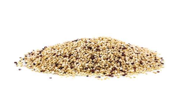 istock Quinoa seeds (Chenopodium quinoa) organic super food 956710992