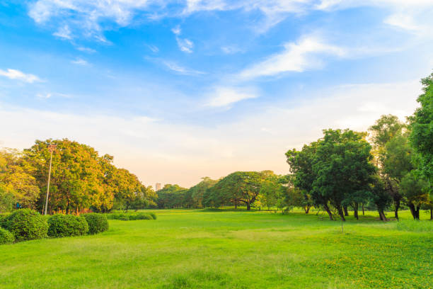 istock Beautiful lawn and trees in the park with clouds and blue sky. 956720716