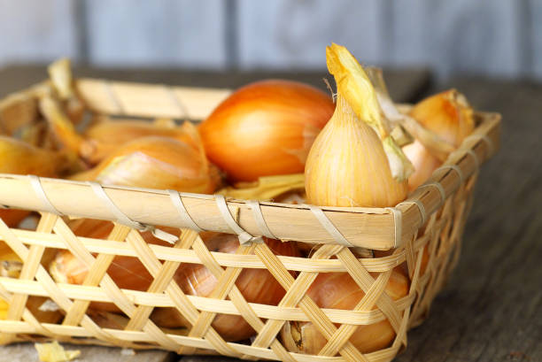 istock ripe yellow onion bulbs in basket 956738300