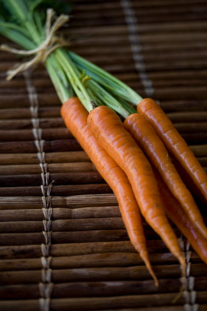 Freshly washed organically grown carrots stock photo