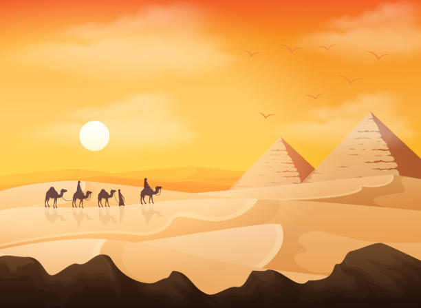 illustrazioni stock, clip art, cartoni animati e icone di tendenza di carovana di cammelli nel paesaggio selvaggio delle piramidi africane sullo sfondo del tramonto - egypt cairo pyramid sunset