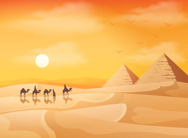 illustrazioni stock, clip art, cartoni animati e icone di tendenza di carovana di cammelli nel paesaggio selvaggio delle piramidi africane sullo sfondo del tramonto - egypt cairo pyramid sunset