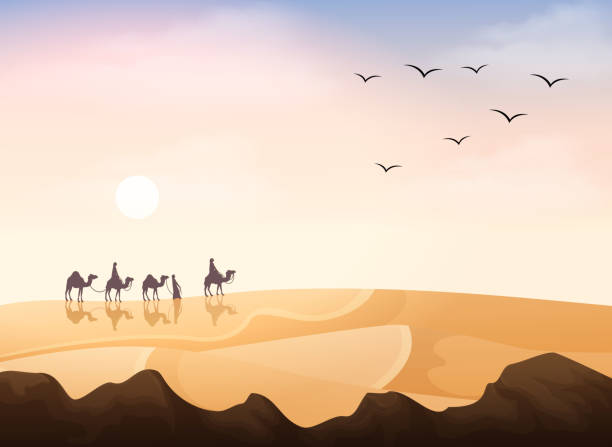 illustrazioni stock, clip art, cartoni animati e icone di tendenza di gruppo di arabi in sella con la carovana di cammelli nel deserto - egypt cairo pyramid sunset