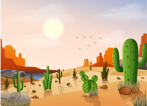 ilustrações de stock, clip art, desenhos animados e ícones de desert landscape with cactus on the sunset background - desert animals