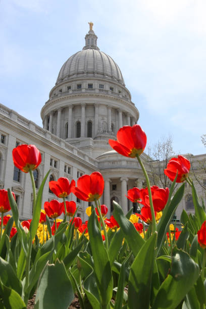 istock Wisconsin State Capitol building, hystorical landmark. 956761102