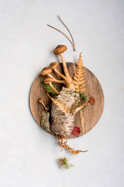 istock Fresh, raw mushrooms on a light background and a wooden round empty plate. Background. Concept minimalism Copy space 956762190
