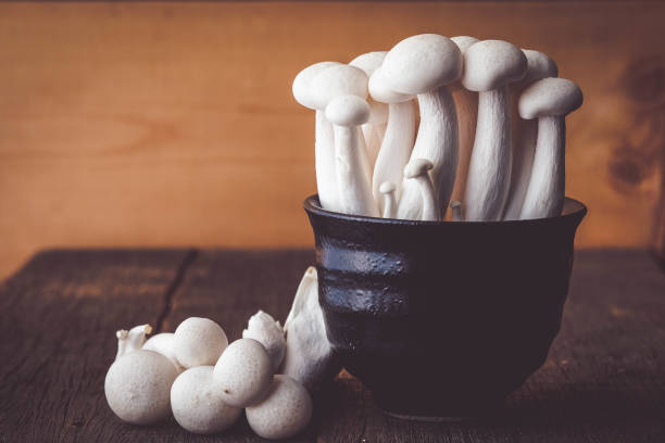 istock Mushrooms on the wood table raw materials for cooking 956769448