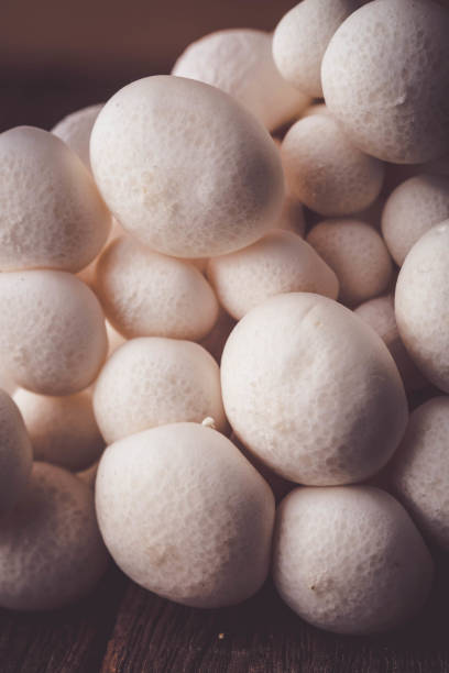 istock Mushrooms on the wood table raw materials for cooking 956769514