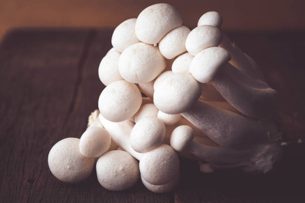 istock Mushrooms on the wood table raw materials for cooking 956769546