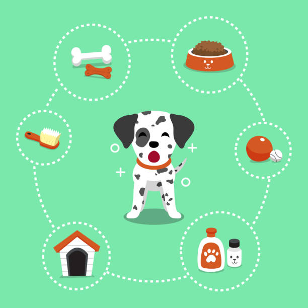 illustrazioni stock, clip art, cartoni animati e icone di tendenza di cane e accessori dalmati del personaggio dei cartoni animati vettoriali - dog spotted purebred dog kennel
