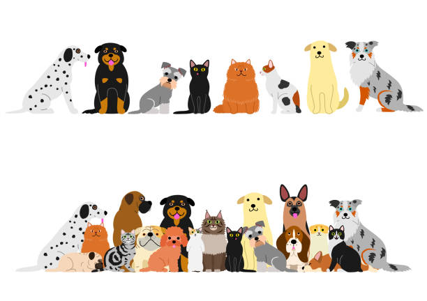 ilustraciones, imágenes clip art, dibujos animados e iconos de stock de perros y gatos de la frontera conjunto - dog domestic cat group of animals pets