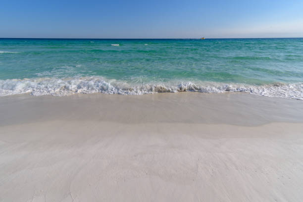 istock Gulf Coast waves washing on shore in florida 956778934
