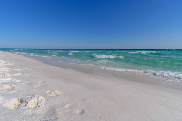 istock Gulf Coast waves washing on shore in florida 956778988