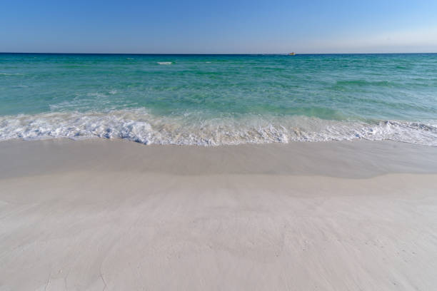 istock Gulf Coast waves washing on shore in florida 956779026