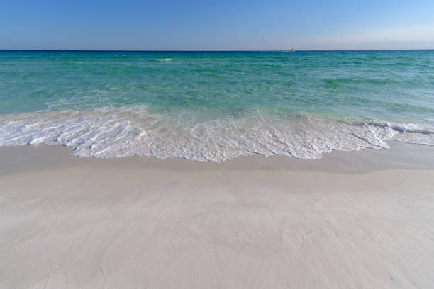 istock Gulf Coast waves washing on shore in florida 956779032