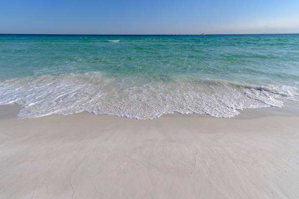 istock Gulf Coast waves washing on shore in florida 956779066