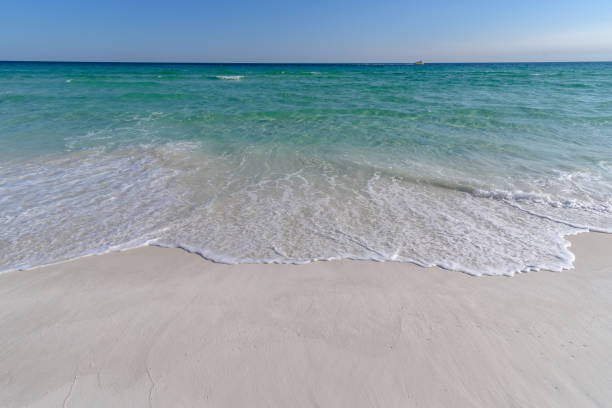 istock Gulf Coast waves washing on shore in florida 956779072