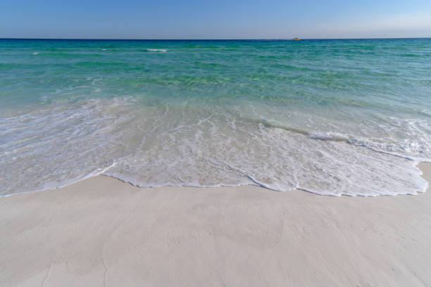 istock Gulf Coast waves washing on shore in florida 956779104