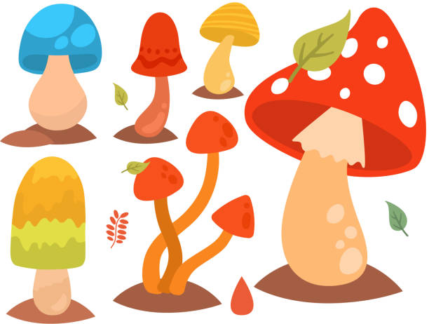 きのこ菌キノコ キノコさまざまなアート スタイル デザイン菌ベクトル図の赤い帽子 - fungus nature orange agaric toxic substance点のイラスト素材／クリップアート素材／マンガ素材／アイコン素材