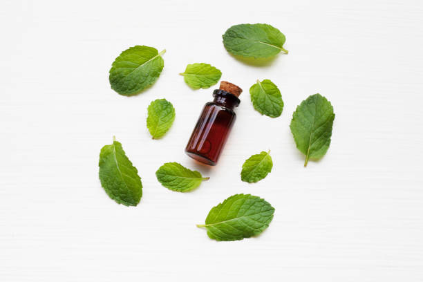 istock Essentail oil with fresh mint leaves. 956788254