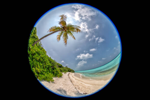 istock snowball style maldives tropical paradise beach landscape 956791994