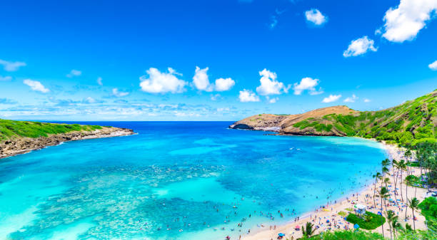 baia di hanauma dalla distanza alle hawaii - hanauma bay hawaii islands oahu bay foto e immagini stock