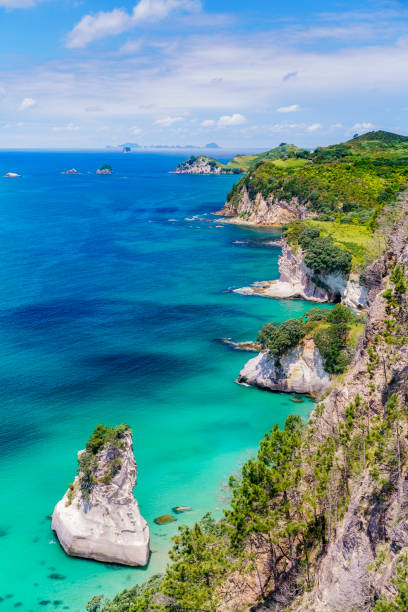 view from the cliffs at cathedral cove,coromandel peninsula, new zealand 11 panoramic view from the cliffs at cathedral cove,coromandel peninsula, new zealand coromandel peninsula stock pictures, royalty-free photos & images