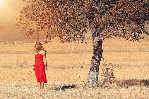 Red dressed asian woman cool attitude in nature on sunset with big tree