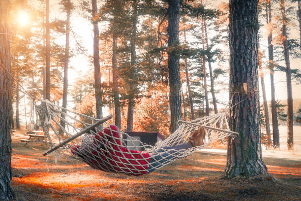 Lazy man summer afternoon  in forest on hammock autumn red coat
